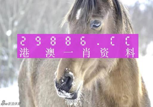 最準(zhǔn)一肖一碼100%澳門,精細(xì)策略定義探討_特別版4.464