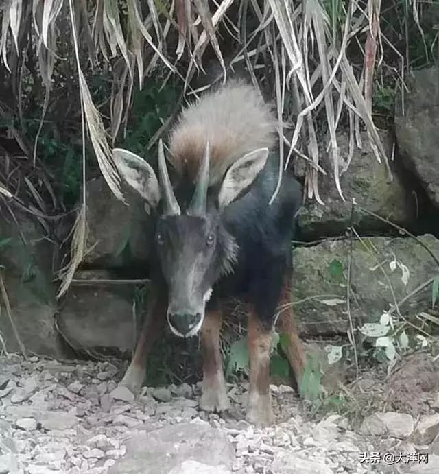 落花流水 第3頁