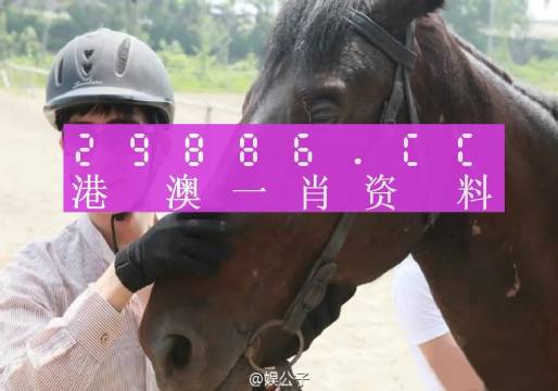 澳門今晚必中一肖一碼準(zhǔn),確保成語(yǔ)解釋落實(shí)的問題_特別版2.336