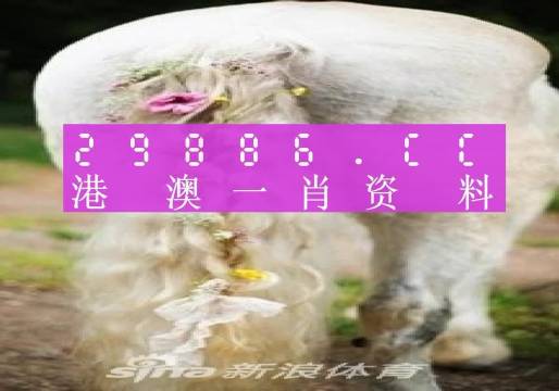 今晚必中一肖一碼四不像,效率資料解釋落實(shí)_入門版2.362