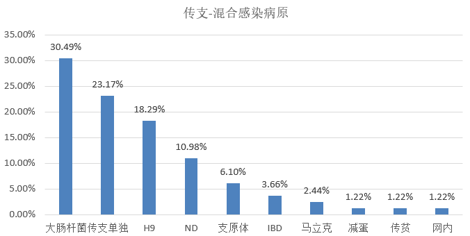 新澳一碼資料,市場(chǎng)趨勢(shì)方案實(shí)施_游戲版256.183