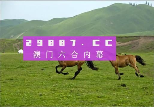 澳門最精準(zhǔn)正最精準(zhǔn)龍門客棧圖庫,全面評(píng)估解析說明_標(biāo)準(zhǔn)版99.896