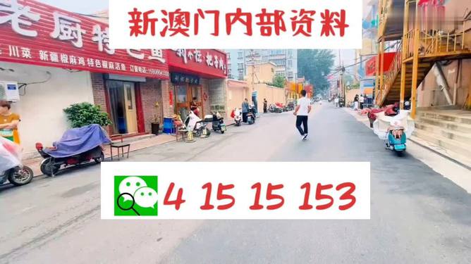 2024澳門天天開好彩,準(zhǔn)確資料解釋落實(shí)_特別版14.223