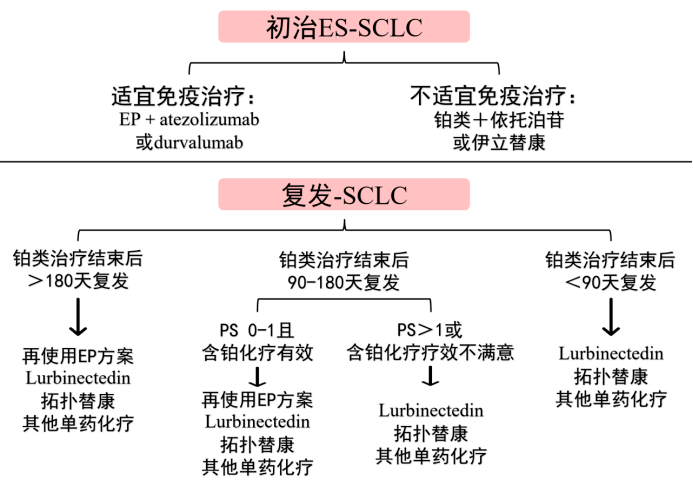 新奧管家婆資料2024年85期,理論分析解析說(shuō)明_eShop80.688