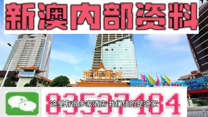 2024新澳最精準免費資料,實地分析數(shù)據(jù)設計_潮流版91.813