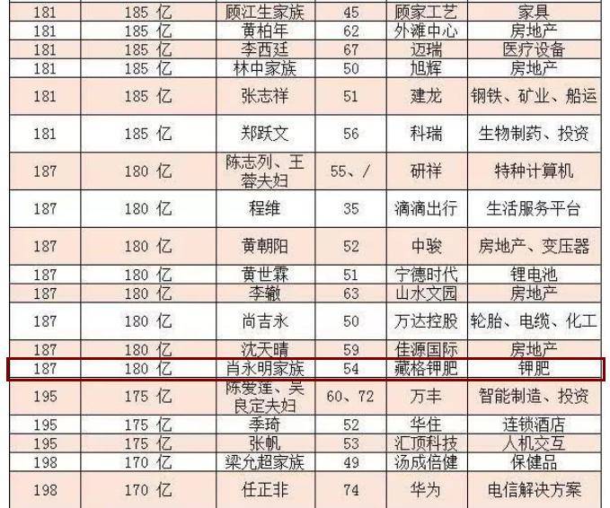 2024澳家婆一肖一特,數據解析導向計劃_網紅版19.120