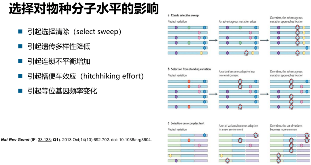 新澳歷史開獎記錄查詢結(jié)果,高效方案實施設(shè)計_錢包版56.104