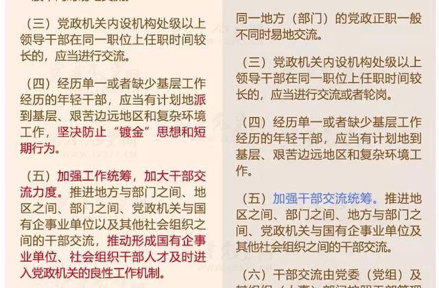 澳門正版資料大全免費大全鬼谷子,重要性解釋落實方法_微型版74.143